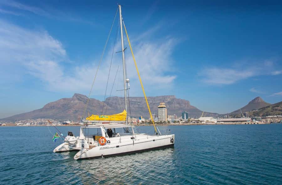 Cape Town: V&A Waterfront 1-Hour Scenic Cruise - Comfort and Small Details That Matter More on a Short Trip