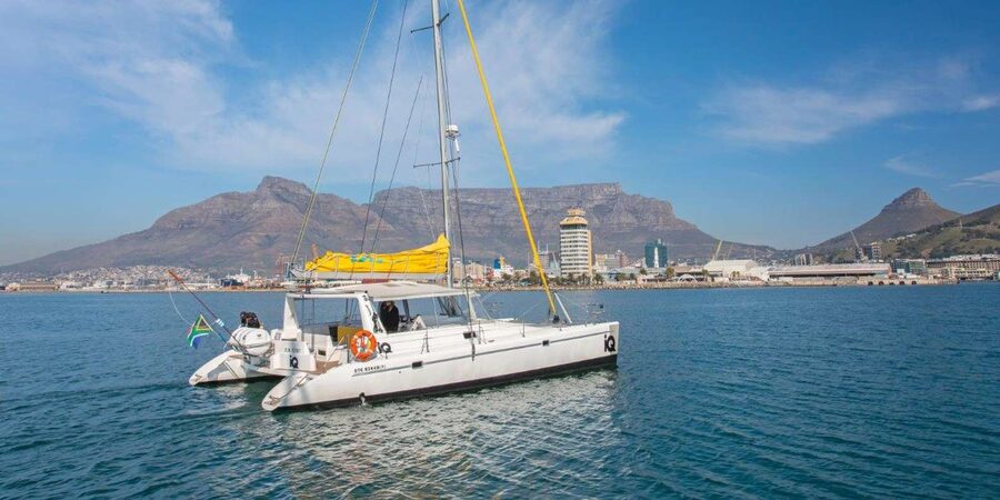 Cape Town: V&A Waterfront 1-Hour Scenic Cruise - Price and Value: Is $27 Worth It?