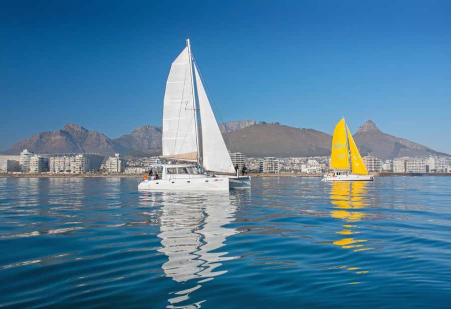Cape Town: V&A Waterfront Gin Voyage Cruise - Price Value: Is $37 for One Hour Worth It?