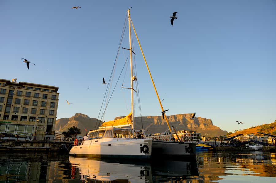 Cape Town: V&A Waterfront Gin Voyage Cruise - The 1-Hour Catamaran Cruise, With a Scenic Pace