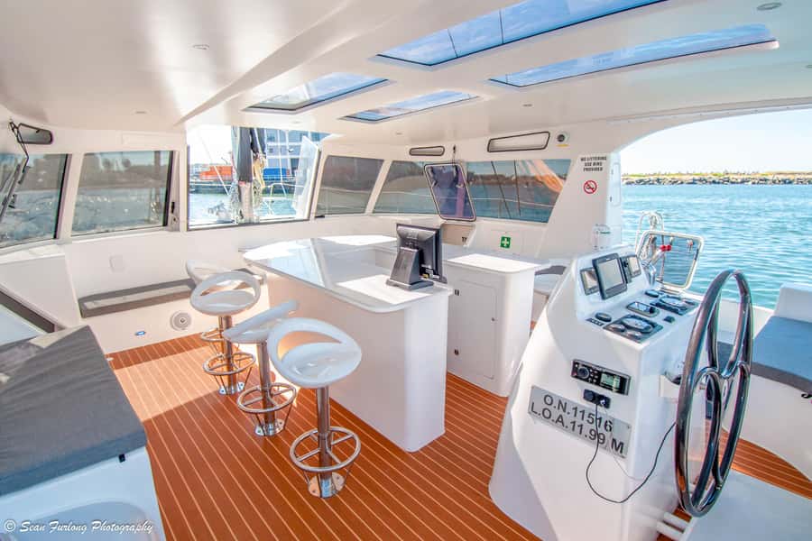 Cape Town Waterfront and Bay: Sailing Trip - Why This 1-Hour Table Bay Sail Feels Like the Right Length