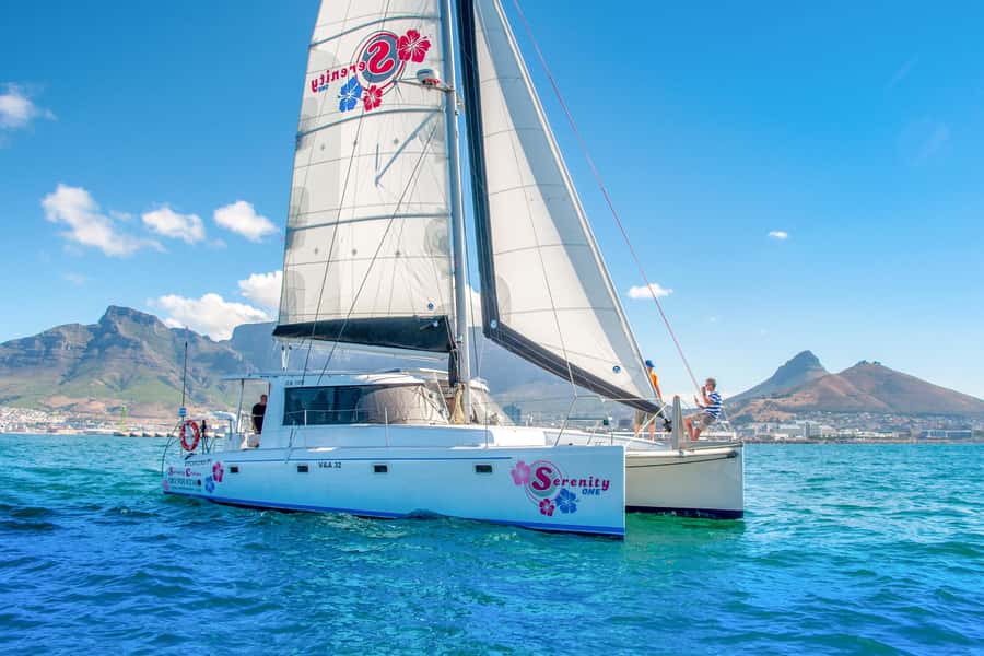 Cape Town Waterfront and Bay: Sailing Trip - Comfort, Clothing, and What You Should Bring (Wind Is the Main Enemy)
