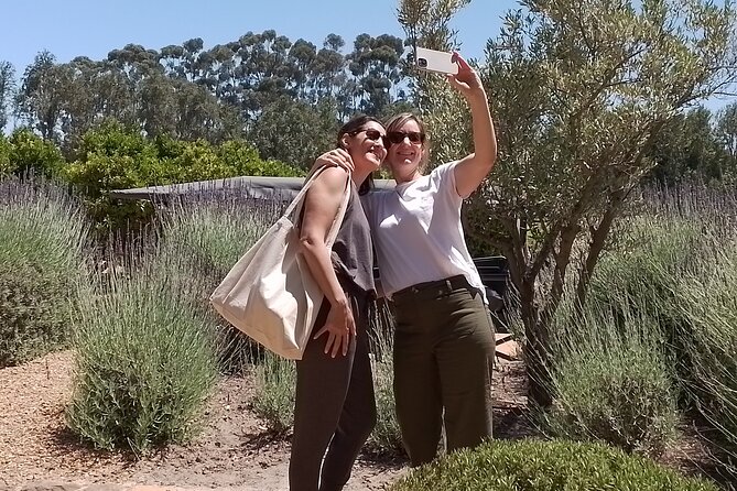Cape Town Wine Tasting - Franschhoek Tram and the French corner feel