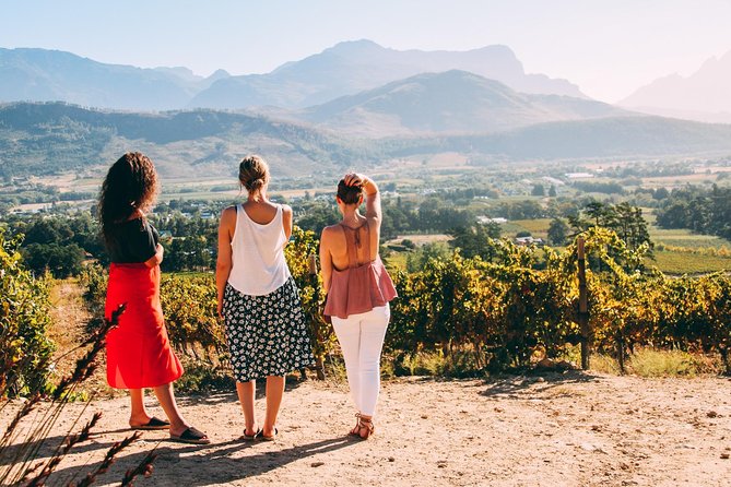Cape Town Wine Tasting - Who should book this Cape Town wine tasting tour