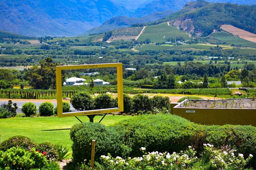 Cape Town: Wine Tram & Winelands Tour with Tastings & Pickup - Franschhoek Wine Tram: Hop-On, Hop-Off Through Vineyard Country