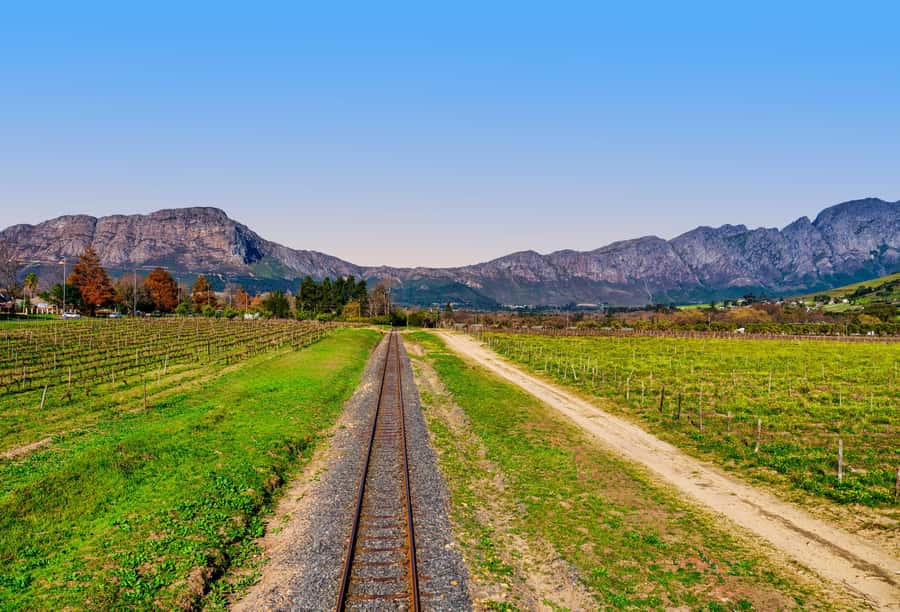 Cape Town: Wine Tram & Winelands Tour with Tastings & Pickup - Lunch Options: Small Group Freedom vs Private All-Inclusive Comfort