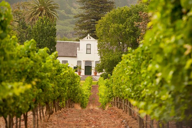 Cape Town: Winelands Private Half Day Tour - Price and logistics: what the $131.01 really buys