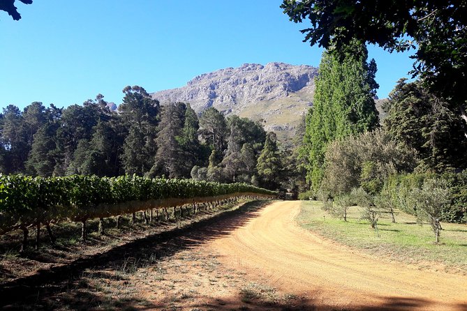Cape Town Winelands Stellenbosch Private Afternoon Tour - Oom Samie Se Winkel: A Victorian Trading Post Stop You’ll Actually Enjoy