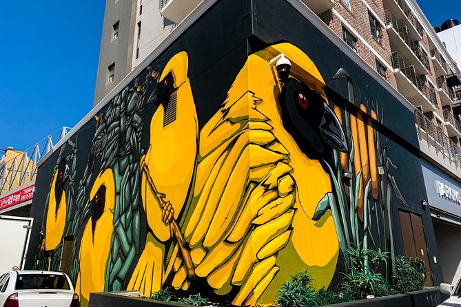 Cape Town Woodstock Street Art Walking Tour - The 90-minute pace and what to expect on the ground