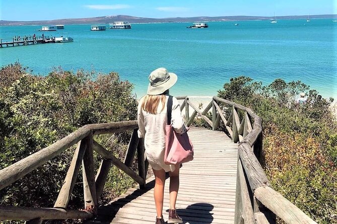 Cape West Coast Flower Tour - Getting out of Cape Town: private pickup and a 9:00 am start