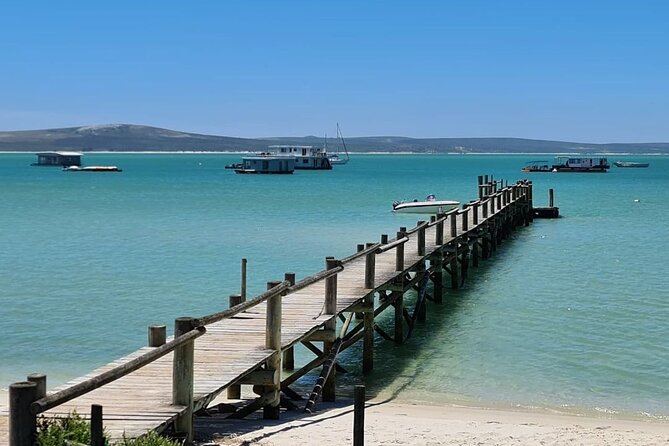 Cape West Coast Flower Tour - A farm-town wildflower pause on the West Coast