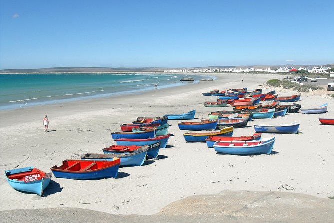 Cape West Coast Full Day Private Day Tour - Darling olive tasting: local flavors with real variety