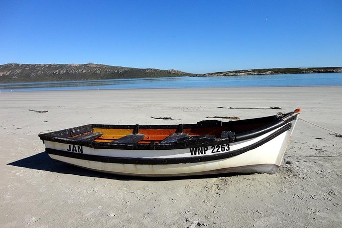 Cape West Coast Full Day Private Day Tour - !Khwa ttu: San culture with a guided, skills-focused approach