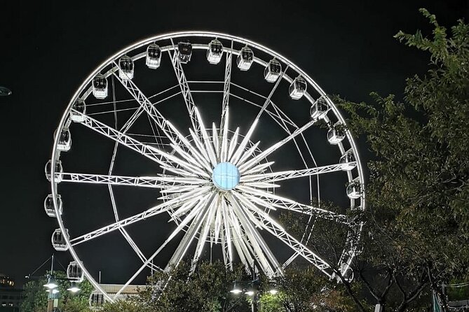 Cape Wheel Admission Ticket - The views that matter: Table Mountain, Robben Island, and the city layout