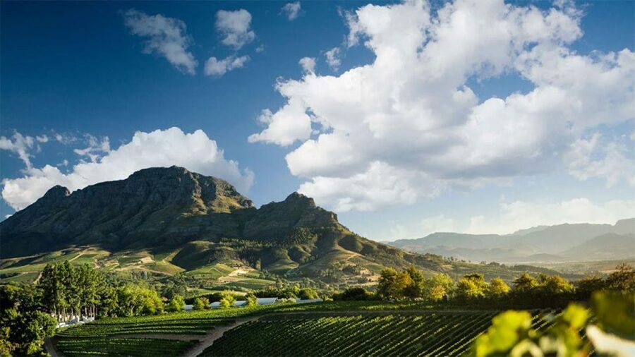 Cape Wineland 3 Award Winning Vineyards - Key things I’d circle before you book