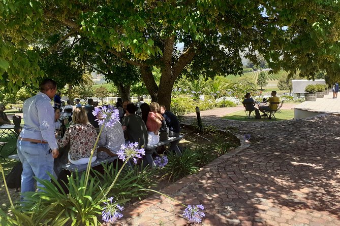 Cape Winelands and Wine Tasting Full Day Tour - A Cape Winelands Day That Trades Taxis for a Set Route