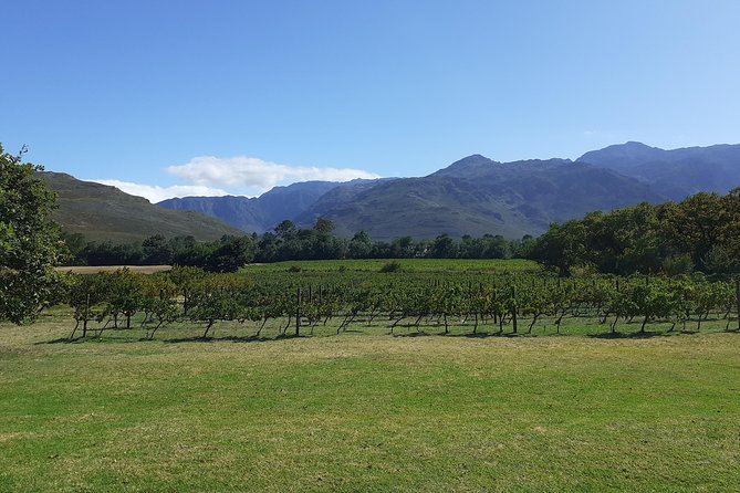 Cape Winelands and Wine Tasting Full Day Tour - Pickup at the Waterfront, Start Time at 9:00, and the Pace of an 8-Hour Day