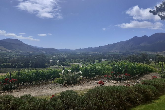 Cape Winelands and Wine Tasting Full Day Tour - Franschhoek Town Time: French Corner Origins and a Food-Forward Break