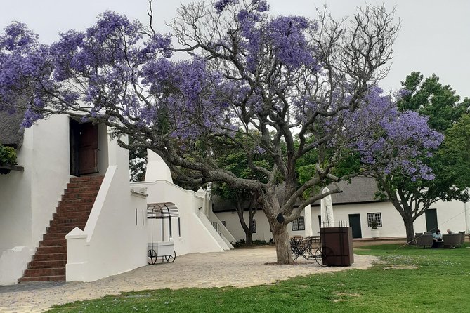 Cape Winelands and Wine Tasting Full Day Tour - Marianne Wine Estate in Stellenbosch: Personal Naming and a Wine-With-Biltong Idea