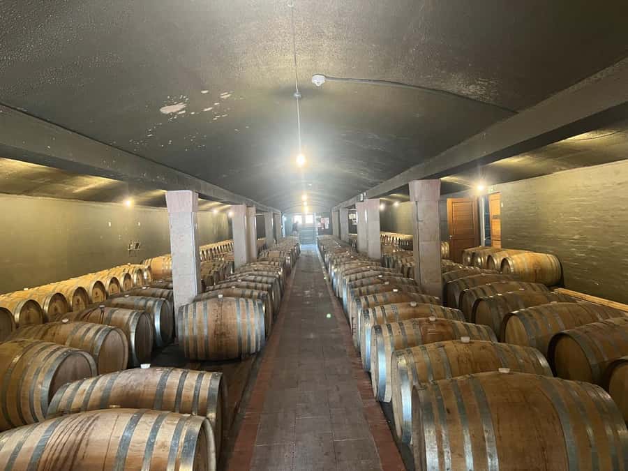 Cape Winelands Experience: Paarl, Stellenbosch & Franschhoek - Key highlights that make this day trip worth your time