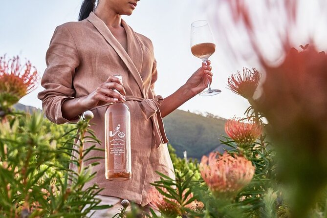 Cape Winelands Explore Full Day Tour with Private Transfer - Franschhoek Lunch Break: Choose Your Own Table in a French-Inspired Town