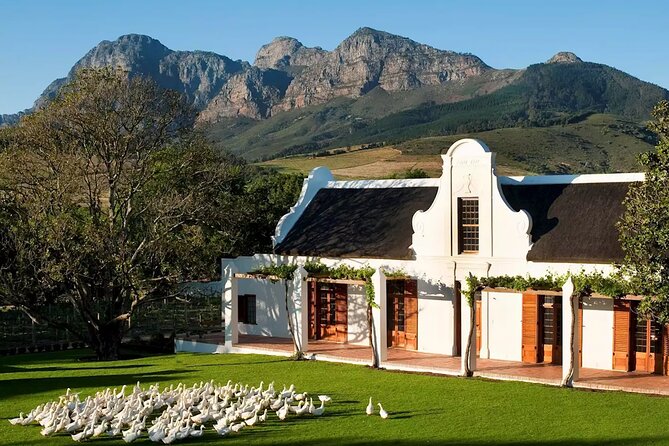 Cape Winelands Explore Full Day Tour with Private Transfer - Price and What You Get for $241.56 Per Person