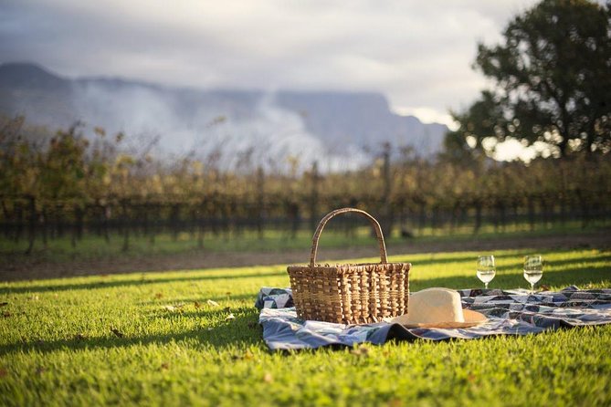 Cape Winelands Explore Full Day Tour with Private Transfer - How to Choose Your Pace, Even on a Long Wine Day