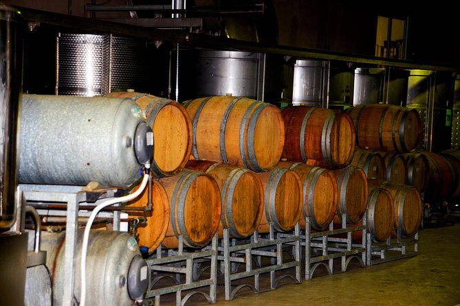 Cape Winelands group tour - Paarl: winemaking roots, mountain backdrops, and wine with cheese