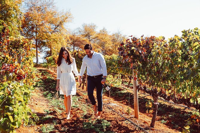 Cape Winelands Private Tour to Stellenbosch and Franschhoek - Why This Cape Winelands Private Tour Feels Worth It