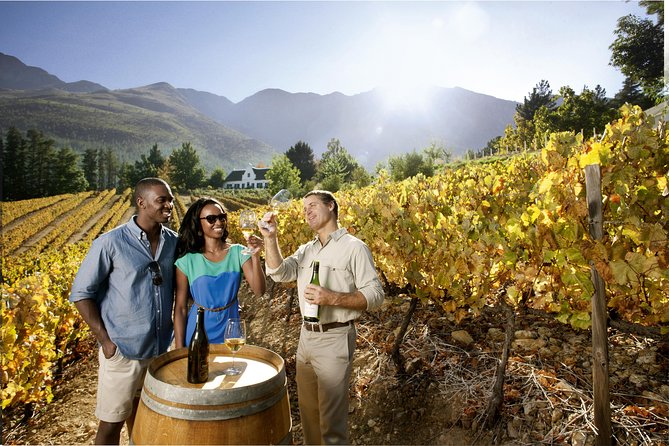 Cape Winelands Private Tour to Stellenbosch and Franschhoek - Weather and Timing: What a 9-Hour Day Really Means