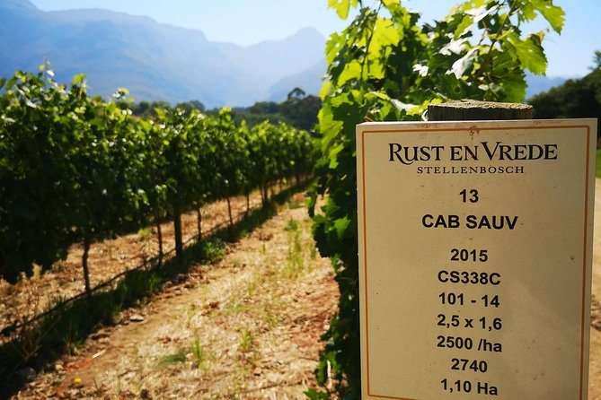 Cape Winelands Stellenbosch Franschhoek Paarl Tour from Cape Town - Wine and Cheese Tastings: How to Taste Without Getting Overwhelmed