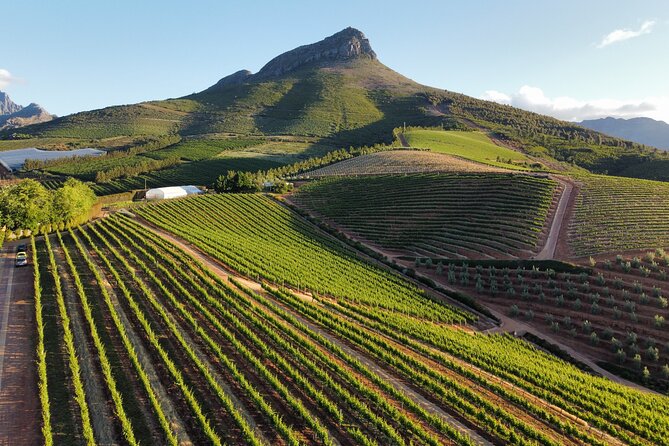 Cape Winelands Tour - Key highlights worth booking