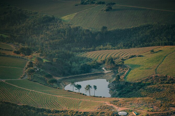 Cape Winelands Tour - Ernie Els Wines: a short stop with a golf twist