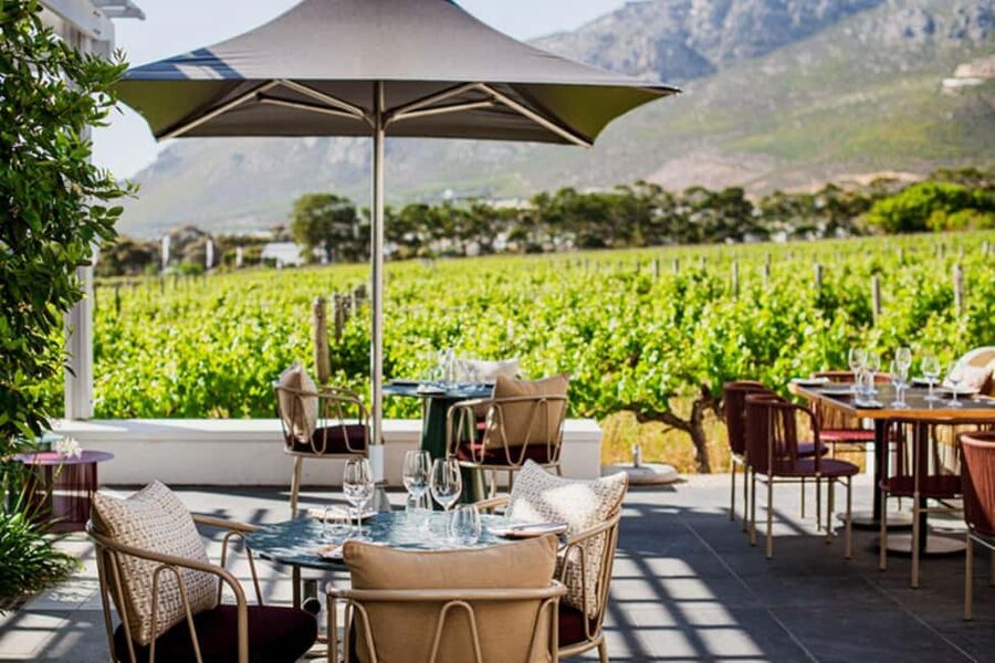 Capetown Private Wine Tour: Manor tour, cellar tour included - Why Constantia Valley Works for a Private Wine Day