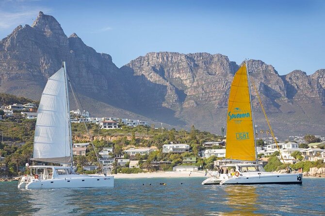 Catamaran Cruise in Cape Town - Key highlights at a glance