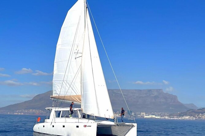 Catamaran Cruise in Cape Town - Cape Town’s coast looks different from a catamaran