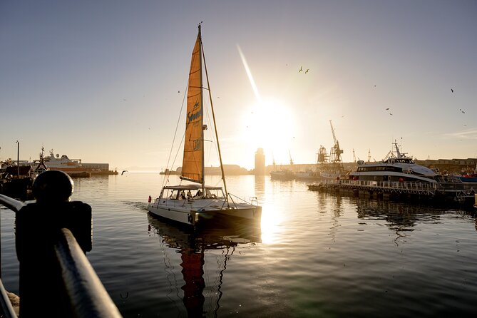 Catamaran Cruise in Cape Town - Crew and onboard vibe: safety info, relaxed pace, and friendly energy