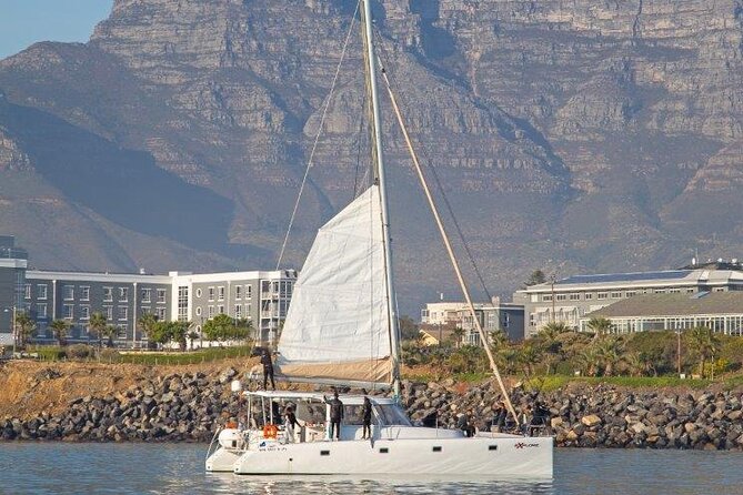 Catamaran Cruise in Cape Town - Value check: what $23.92 buys you in Cape Town