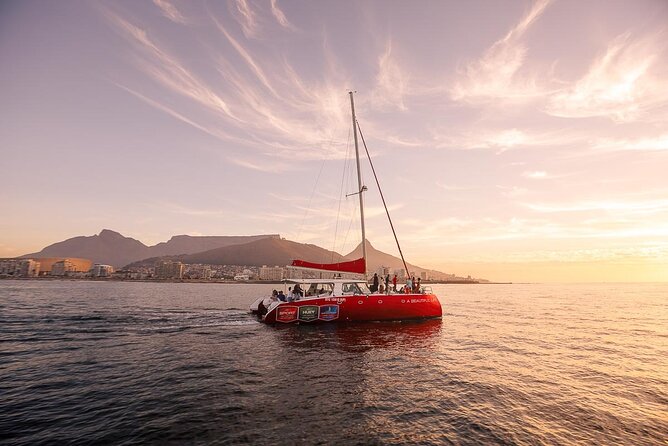 Catamaran Sunset Champagne Cruise Cape Town - Key points to know before you go