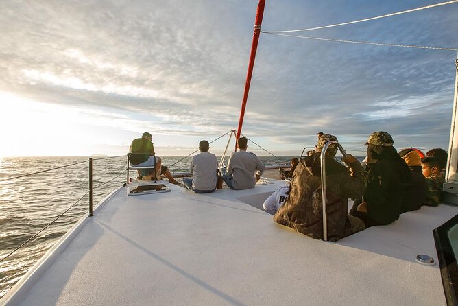 Catamaran Sunset Champagne Cruise Cape Town - What This 90-Minute Sunset Catamaran Feels Like