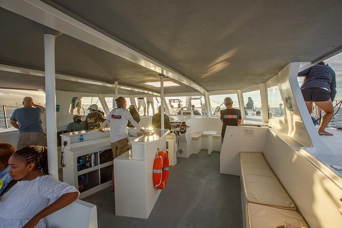 Catamaran Sunset Champagne Cruise Cape Town - The Marine Life Scan: Whales, Dolphins, Penguins