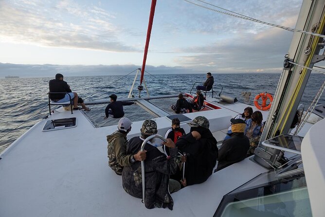 Catamaran Sunset Champagne Cruise Cape Town - Price and Value: Is $37.38 a Good Deal?