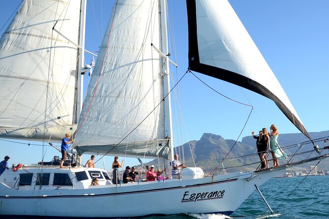Champagne Cruise (Pre-Sunset) from Cape Town - Pre-sunset timing from the V&A Waterfront, and why it suits kids