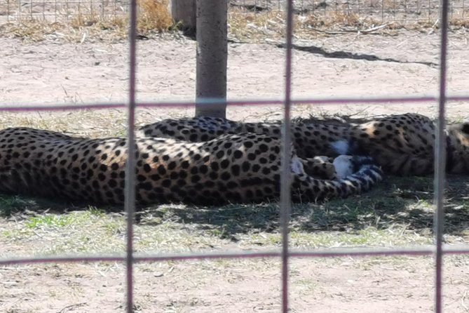 Cheetah Outreach Tour Somerset West, Gordon's Bay and Strand Beaches - Strand Beach on the Indian Ocean: the classic Cape Town feel