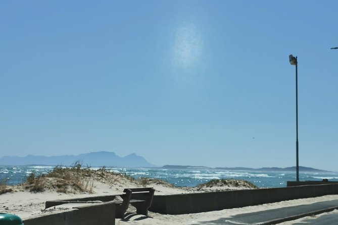 Cheetah Outreach Tour Somerset West, Gordon's Bay and Strand Beaches - Transport comfort: the air-conditioned part you’ll thank yourself for