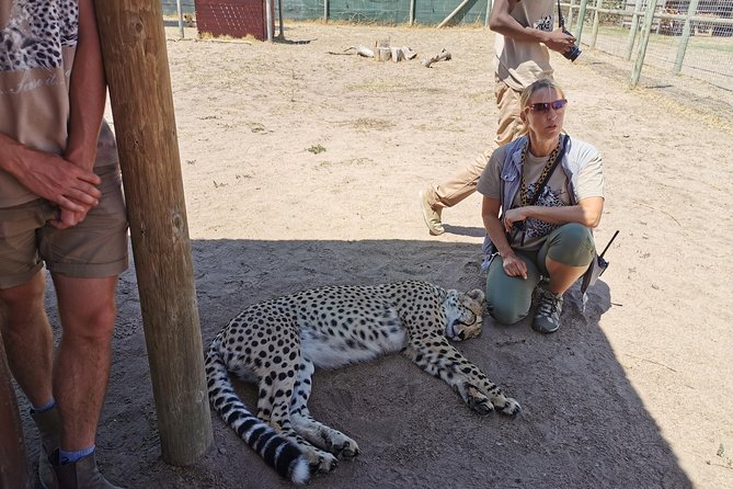 Cheetah Outreach Tour Somerset West, Gordon's Bay and Strand Beaches - Guides, personalities, and what to expect from the human factor