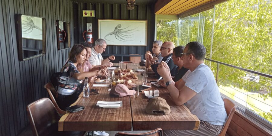City Tour: Table Mountain, Kirstenbosch & Wine - Who this Cape Town city tour is best for