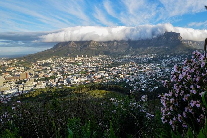 City Tours - Cape Town Central: Cape Castle, Greenmarket Square, and Parliament Brief