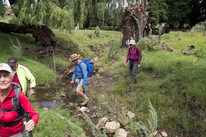 Clarens San-traverse Slackpack - Day 3: Batwing caves, Ouhout forest streams, and trance-ceremony interpretations