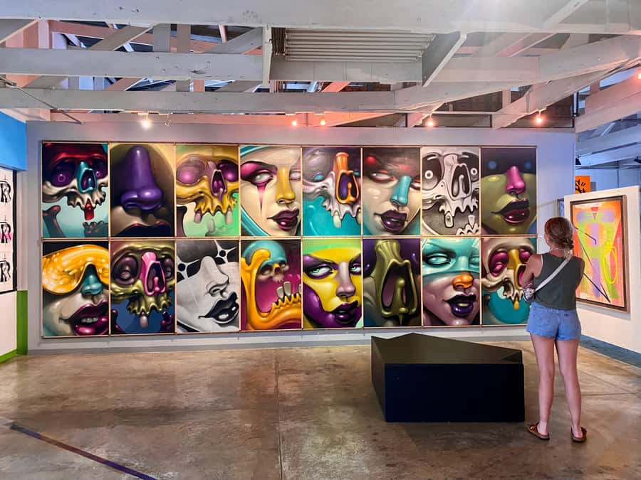 Colours of Johannesburg: A Graffiti & Street Art Tour - Maboneng: murals, shopping, sightseeing, and a helpful aerial view